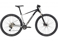  29 Cannondale TRAIL SL 4  - L 2023 GRY