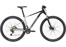  29 Cannondale TRAIL SL 4  - S 2023 GRY